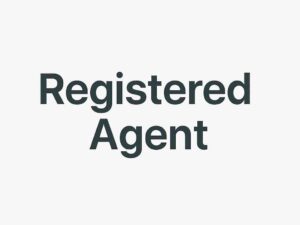 Registered Agent Starter Subscription